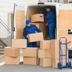 professional removal services